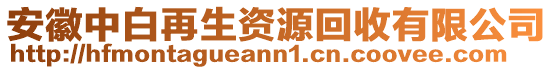 安徽中白再生资源回收有限公司