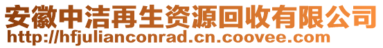 安徽中潔再生資源回收有限公司