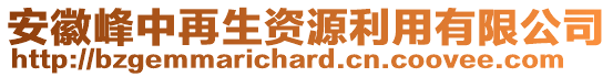 安徽峰中再生資源利用有限公司