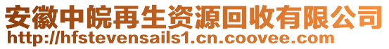 安徽中皖再生资源回收有限公司