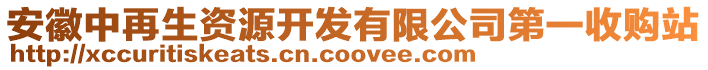 安徽中再生資源開發(fā)有限公司第一收購站