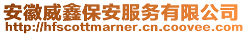 安徽威鑫保安服務有限公司