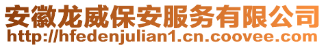 安徽龍威保安服務(wù)有限公司