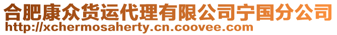 合肥康眾貨運(yùn)代理有限公司寧國分公司