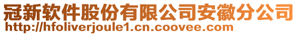 冠新軟件股份有限公司安徽分公司