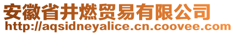 安徽省井燃貿易有限公司