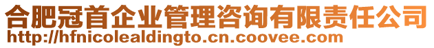 合肥冠首企業(yè)管理咨詢有限責(zé)任公司