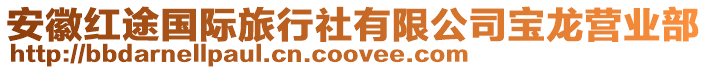 安徽紅途國際旅行社有限公司寶龍營業部