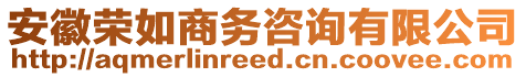 安徽榮如商務咨詢有限公司