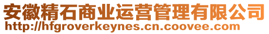 安徽精石商業(yè)運營管理有限公司