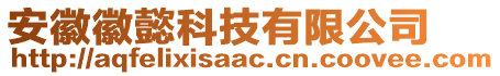 安徽徽懿科技有限公司