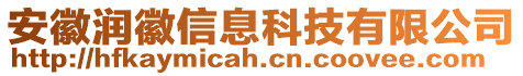 安徽潤(rùn)徽信息科技有限公司