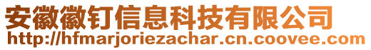 安徽徽釘信息科技有限公司