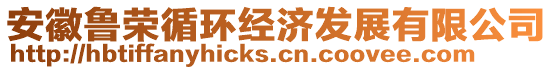 安徽魯榮循環(huán)經(jīng)濟(jì)發(fā)展有限公司