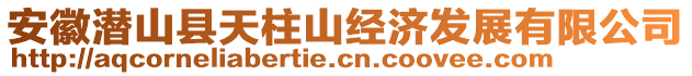 安徽潛山縣天柱山經(jīng)濟發(fā)展有限公司