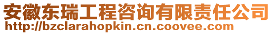 安徽東瑞工程咨詢有限責(zé)任公司