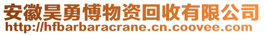 安徽昊勇愽物資回收有限公司