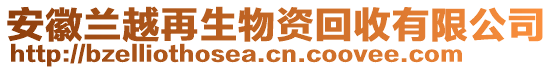 安徽蘭越再生物資回收有限公司