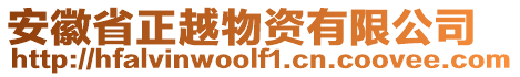 安徽省正越物資有限公司