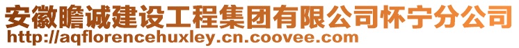 安徽瞻诚建设工程集团有限公司怀宁分公司