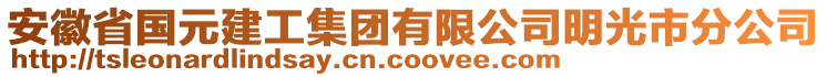 安徽省國元建工集團(tuán)有限公司明光市分公司