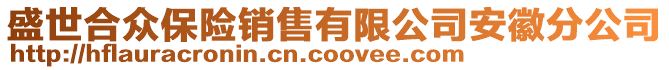 盛世合眾保險銷售有限公司安徽分公司