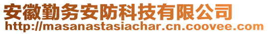 安徽勤务安防科技有限公司