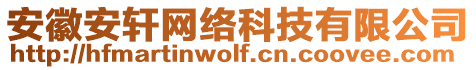 安徽安軒網(wǎng)絡(luò)科技有限公司