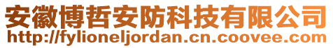 安徽博哲安防科技有限公司