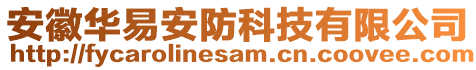 安徽華易安防科技有限公司