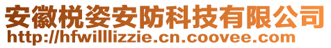 安徽棁姿安防科技有限公司