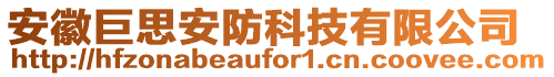 安徽巨思安防科技有限公司