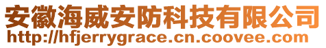 安徽海威安防科技有限公司