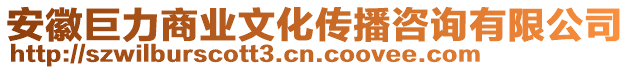 安徽巨力商業(yè)文化傳播咨詢有限公司