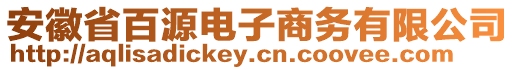 安徽省百源電子商務(wù)有限公司