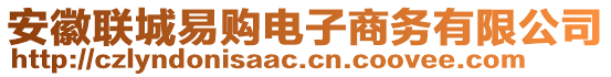 安徽聯(lián)城易購(gòu)電子商務(wù)有限公司