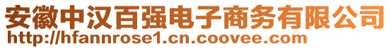 安徽中漢百強電子商務有限公司