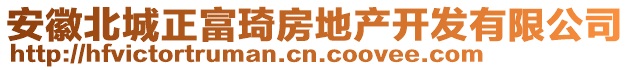 安徽北城正富琦房地产开发有限公司