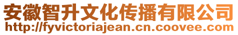 安徽智升文化传播有限公司