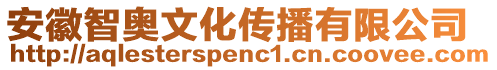 安徽智奧文化傳播有限公司