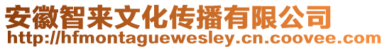 安徽智来文化传播有限公司