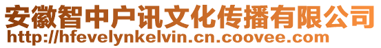 安徽智中戶訊文化傳播有限公司