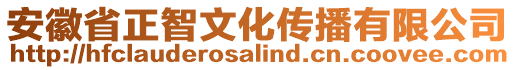 安徽省正智文化傳播有限公司