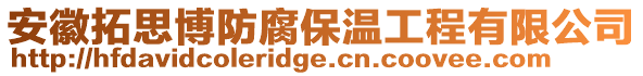 安徽拓思博防腐保溫工程有限公司