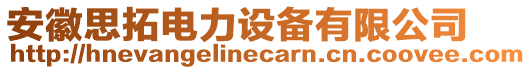 安徽思拓電力設(shè)備有限公司