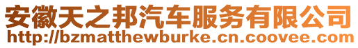 安徽天之邦汽車服務(wù)有限公司