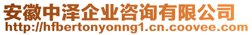 安徽中澤企業(yè)咨詢有限公司