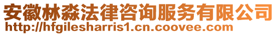 安徽沝淼法律咨詢服務有限公司