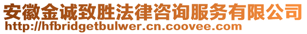 安徽金誠致勝法律咨詢服務有限公司
