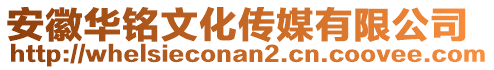 安徽華銘文化傳媒有限公司